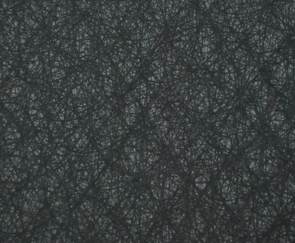 Black Absolute Lacey
